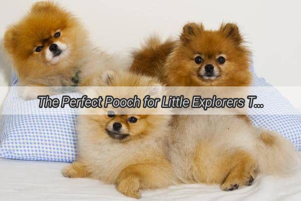 The Perfect Pooch for Little Explorers Top Dog Breeds for Young Families